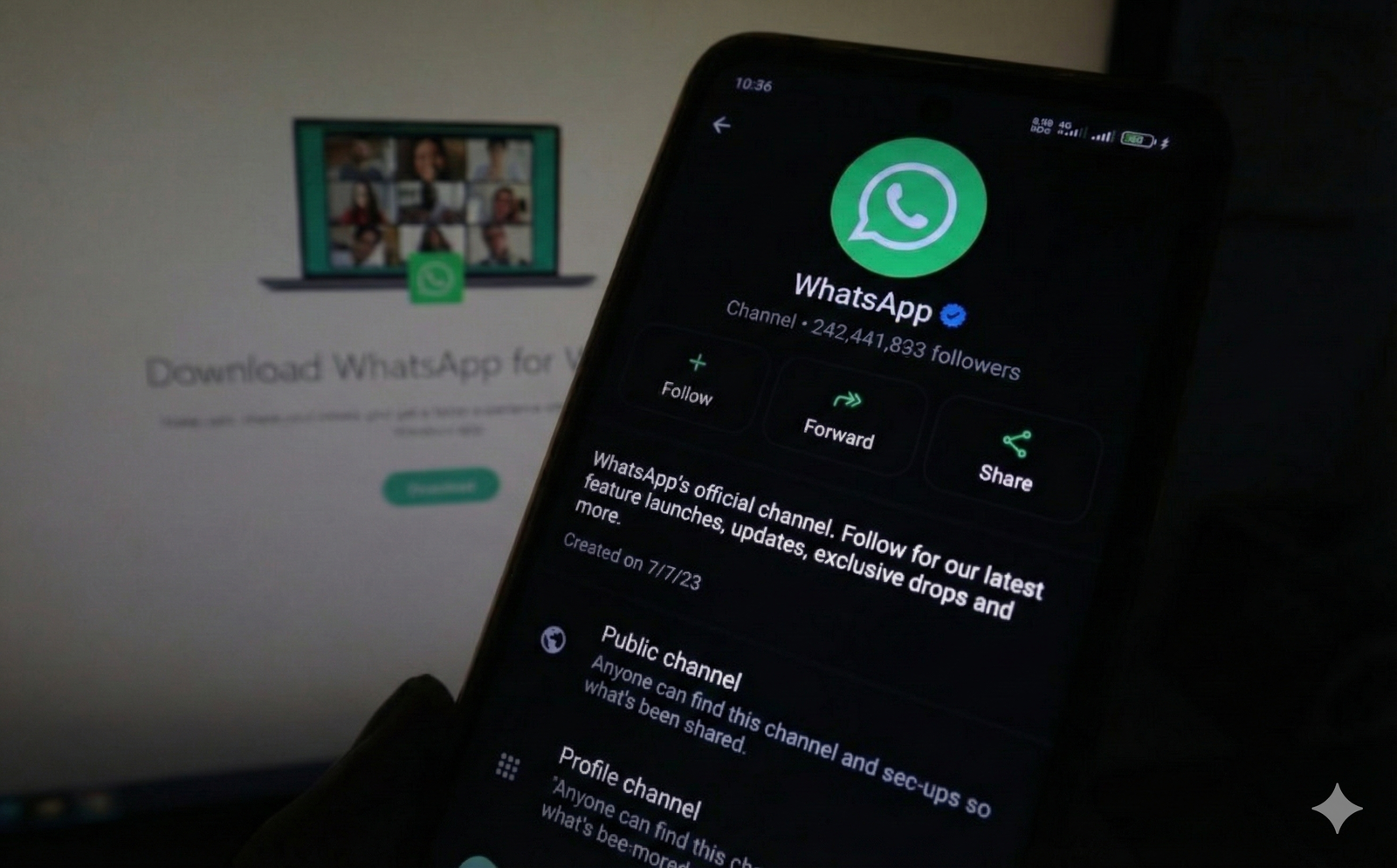 WhatsApp Delivery